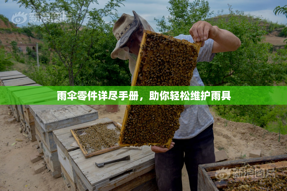 雨伞零件详尽手册，助你轻松维护雨具