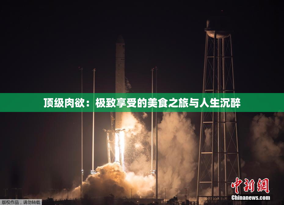 顶级肉欲：极致享受的美食之旅与人生沉醉