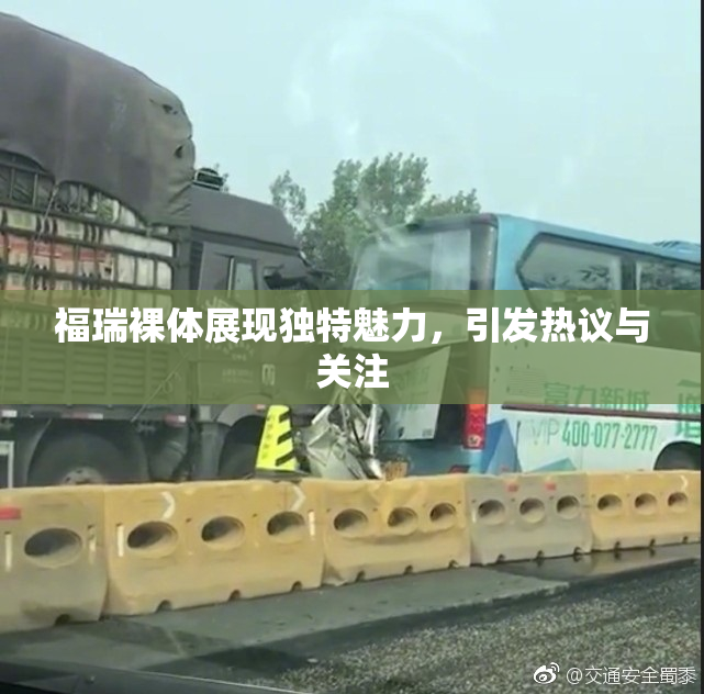 福瑞裸体展现独特魅力，引发热议与关注