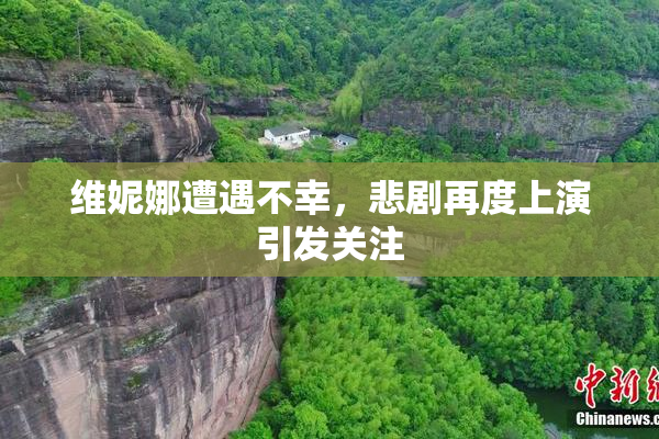 维妮娜遭遇不幸，悲剧再度上演引发关注