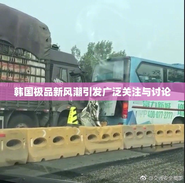 韩国极品新风潮引发广泛关注与讨论