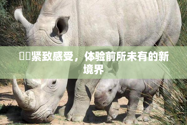 妺妺紧致感受，体验前所未有的新境界
