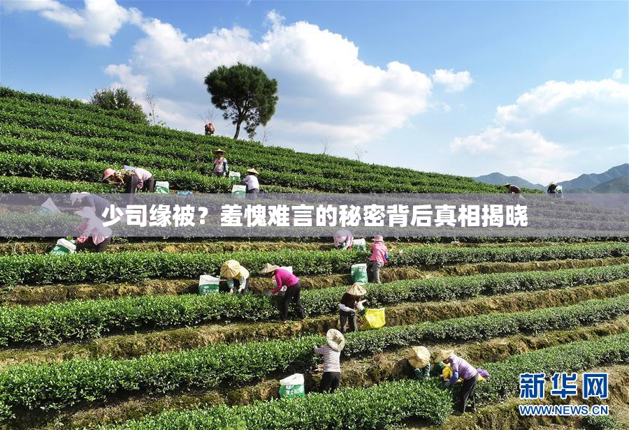 少司缘被？羞愧难言的秘密背后真相揭晓