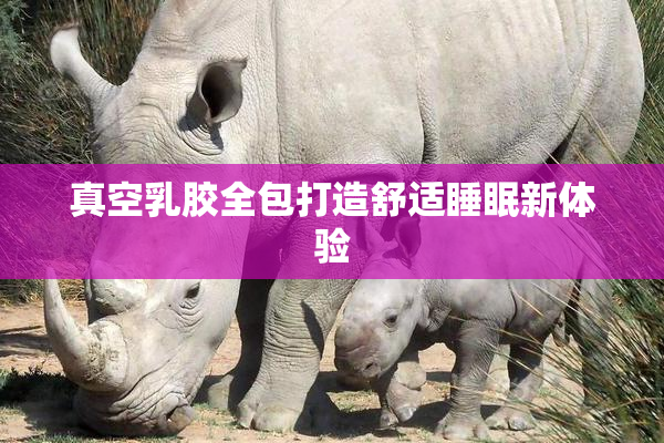 真空乳胶全包打造舒适睡眠新体验