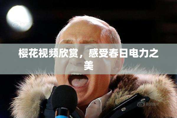樱花视频欣赏，感受春日电力之美