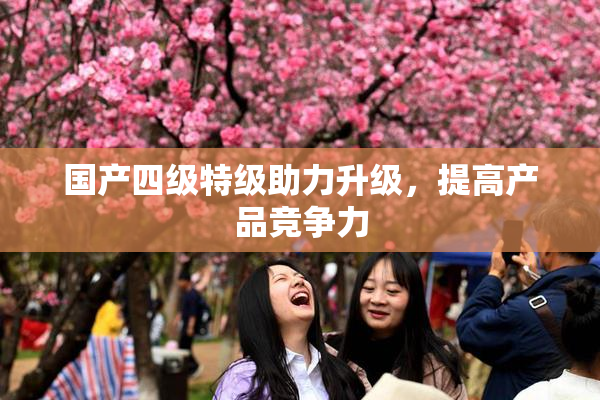 国产四级特级助力升级，提高产品竞争力