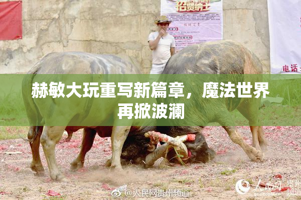 赫敏大玩重写新篇章，魔法世界再掀波澜