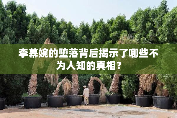 李幕婉的堕落背后揭示了哪些不为人知的真相？