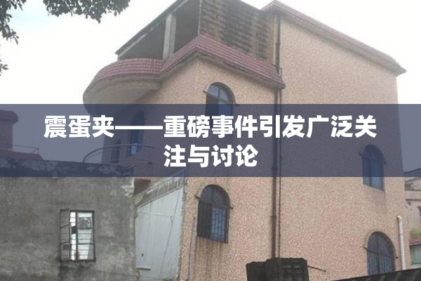 震蛋夹――重磅事件引发广泛关注与讨论