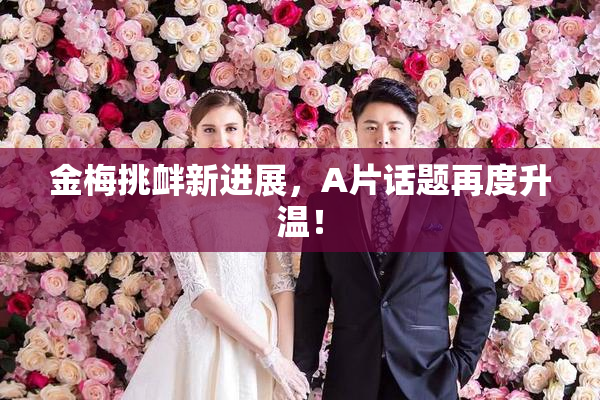 金梅挑衅新进展，A片话题再度升温！