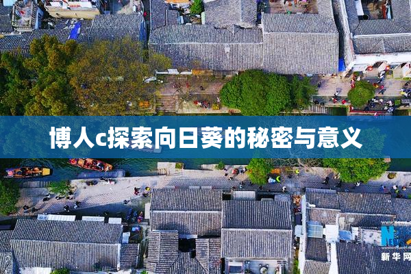 博人c探索向日葵的秘密与意义