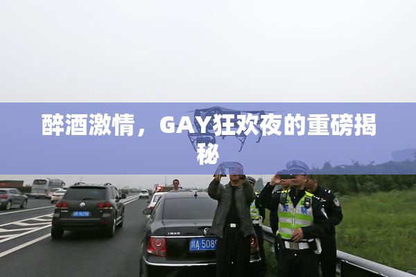 醉酒激情，GAY狂欢夜的重磅揭秘