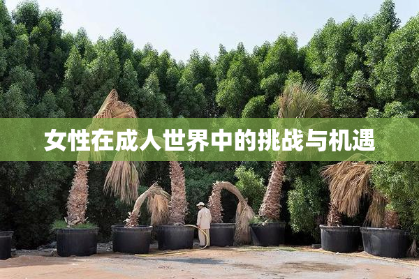 女性在成人世界中的挑战与机遇