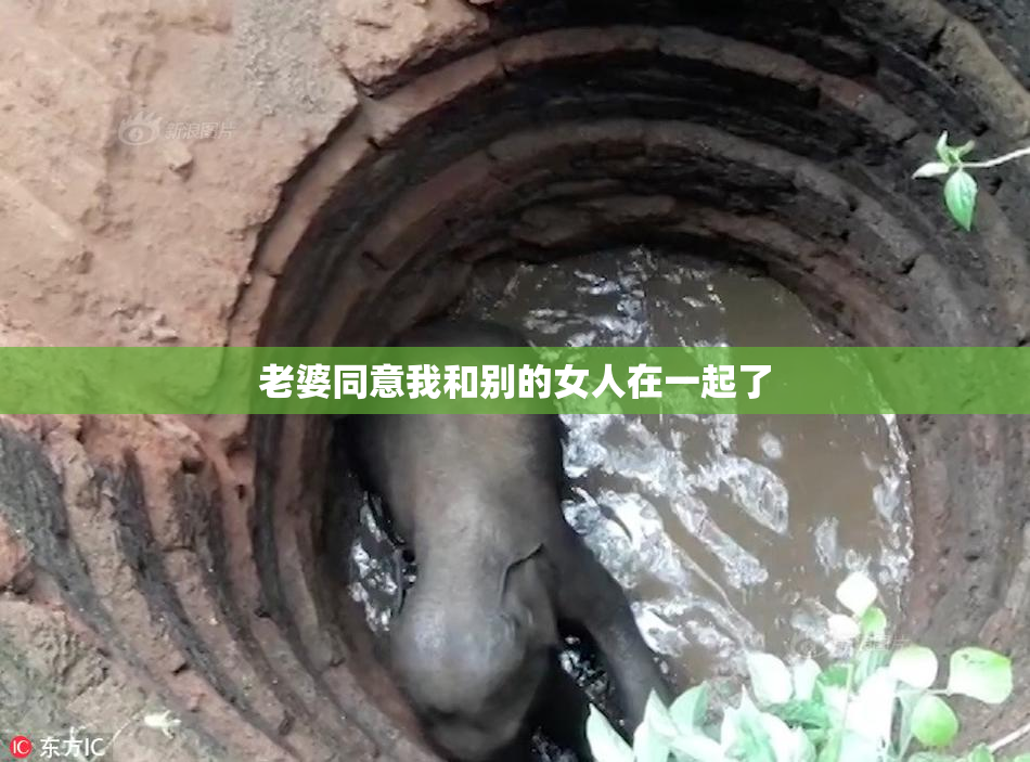 老婆同意我和别的女人在一起了