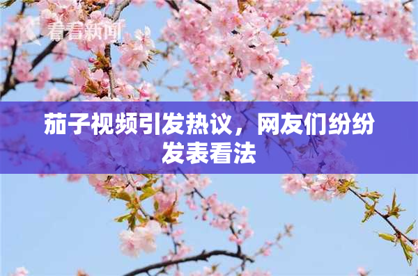 茄子视频引发热议，网友们纷纷发表看法