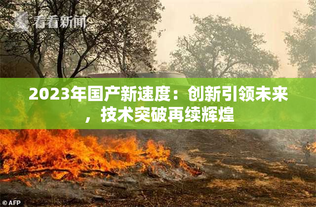 2023年国产新速度：创新引领未来，技术突破再续辉煌