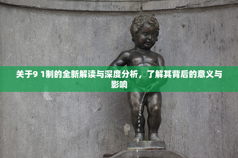 关于9 1制的全新解读与深度分析，了解其背后的意义与影响