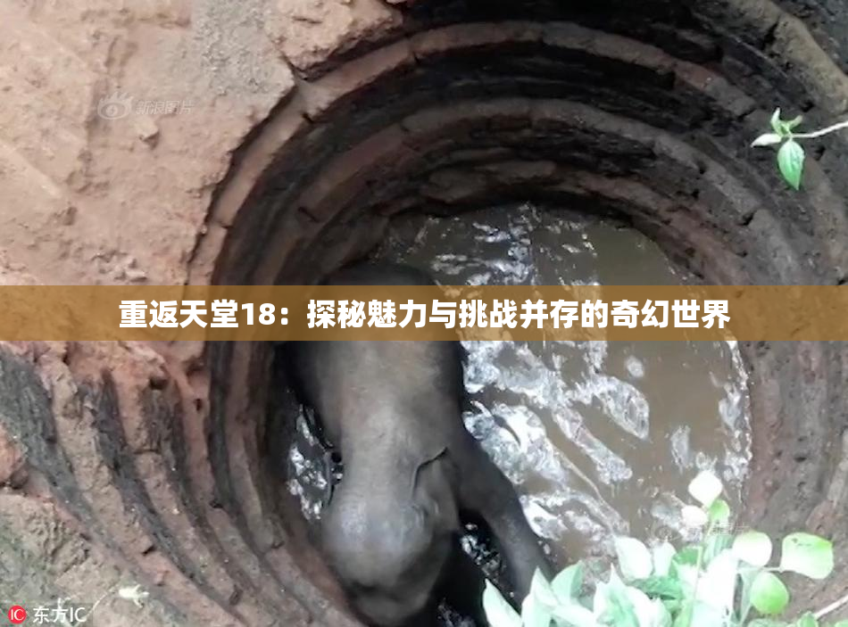 重返天堂18：探秘魅力与挑战并存的奇幻世界