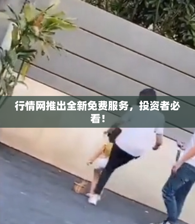 行情网推出全新免费服务，投资者必看！
