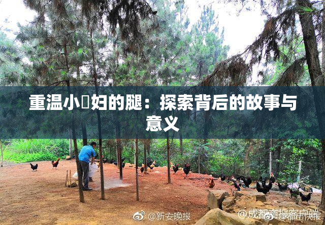 重温小婬妇的腿：探索背后的故事与意义