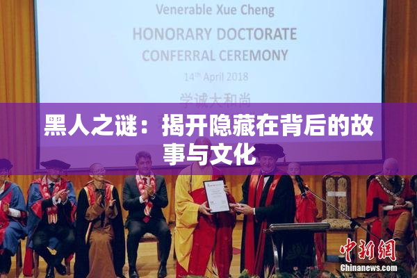 黑人之谜：揭开隐藏在背后的故事与文化