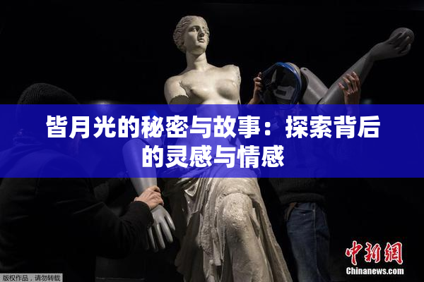 皆月光的秘密与故事：探索背后的灵感与情感