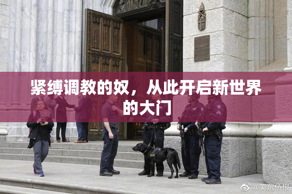紧缚调教的奴，从此开启新世界的大门