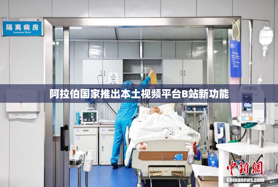 阿拉伯国家推出本土视频平台B站新功能