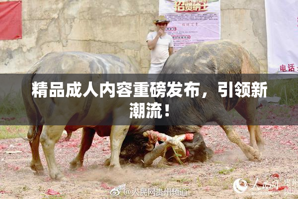 精品成人内容重磅发布，引领新潮流！