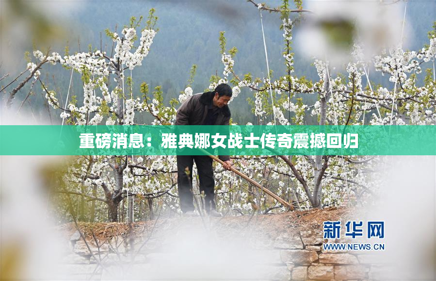 重磅消息：雅典娜女战士传奇震撼回归