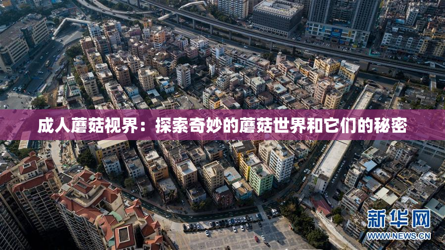 成人蘑菇视界：探索奇妙的蘑菇世界和它们的秘密