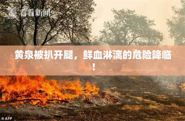 黄泉被扒开腿，鲜血淋漓的危险降临！