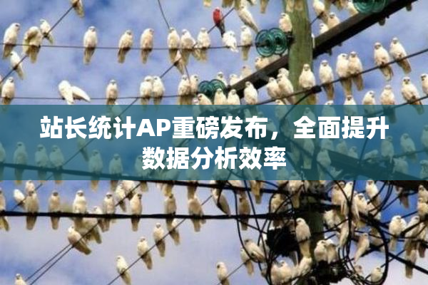 站长统计AP重磅发布，全面提升数据分析效率