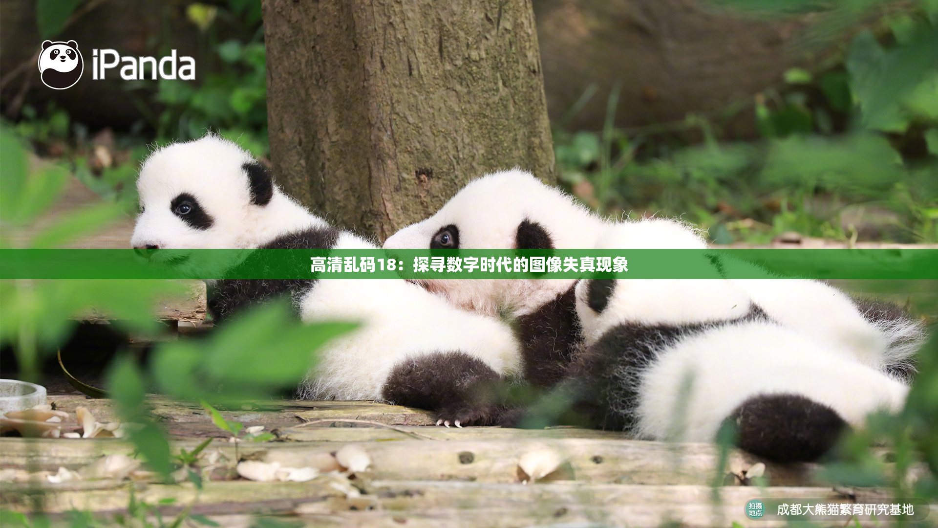 高清乱码18：探寻数字时代的图像失真现象