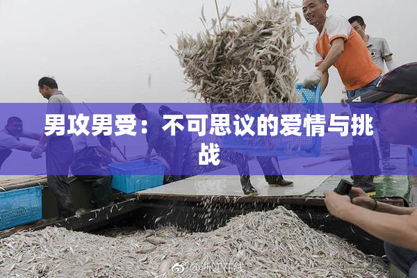 男攻男受：不可思议的爱情与挑战