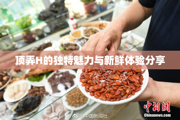 顶弄H的独特魅力与新鲜体验分享