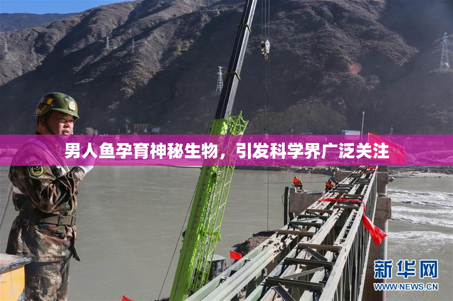 男人鱼孕育神秘生物，引发科学界广泛关注