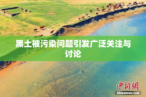 黑土被污染问题引发广泛关注与讨论