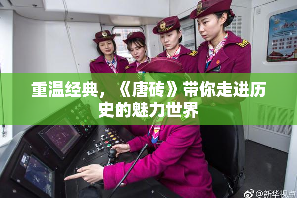 重温经典，《唐砖》带你走进历史的魅力世界