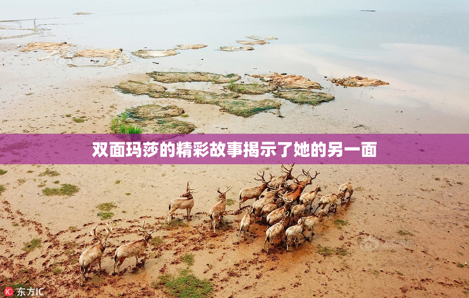 双面玛莎的精彩故事揭示了她的另一面