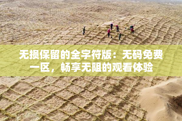 无损保留的全字符版：无码免费一区，畅享无阻的观看体验