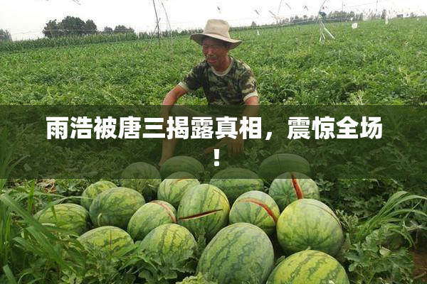 雨浩被唐三揭露真相，震惊全场！