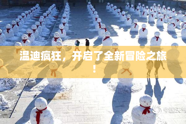 温迪疯狂，开启了全新冒险之旅！