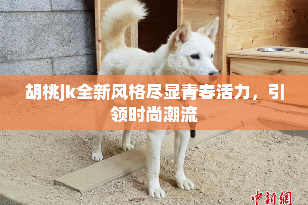 胡桃jk全新风格尽显青春活力，引领时尚潮流