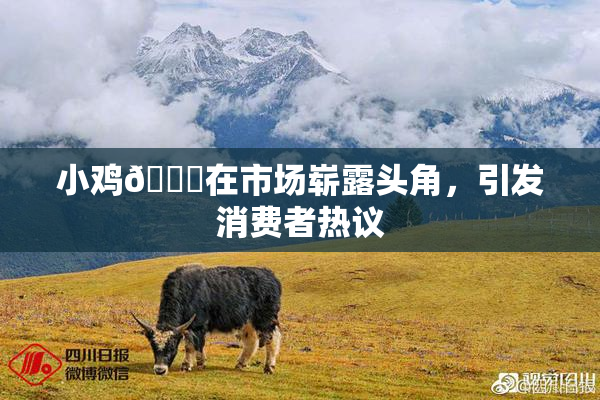 小鸡🐔在市场崭露头角，引发消费者热议