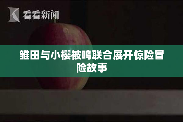雏田与小樱被鸣联合展开惊险冒险故事