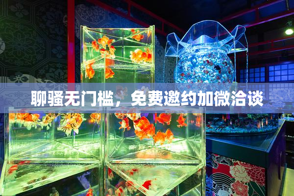 聊骚无门槛，免费邀约加微洽谈