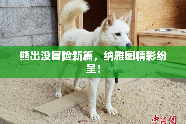 熊出没冒险新篇，纳雅图精彩纷呈！