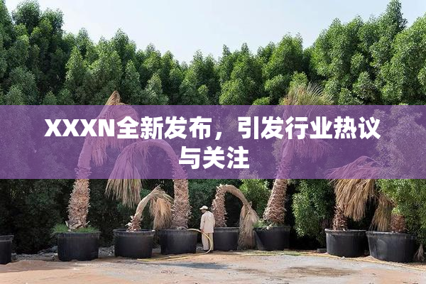 XXXN全新发布，引发行业热议与关注