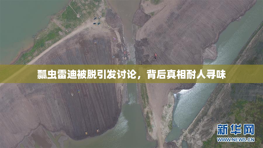 瓢虫雷迪被脱引发讨论，背后真相耐人寻味